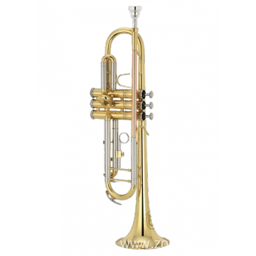 Zo plastic trumpet hotsell